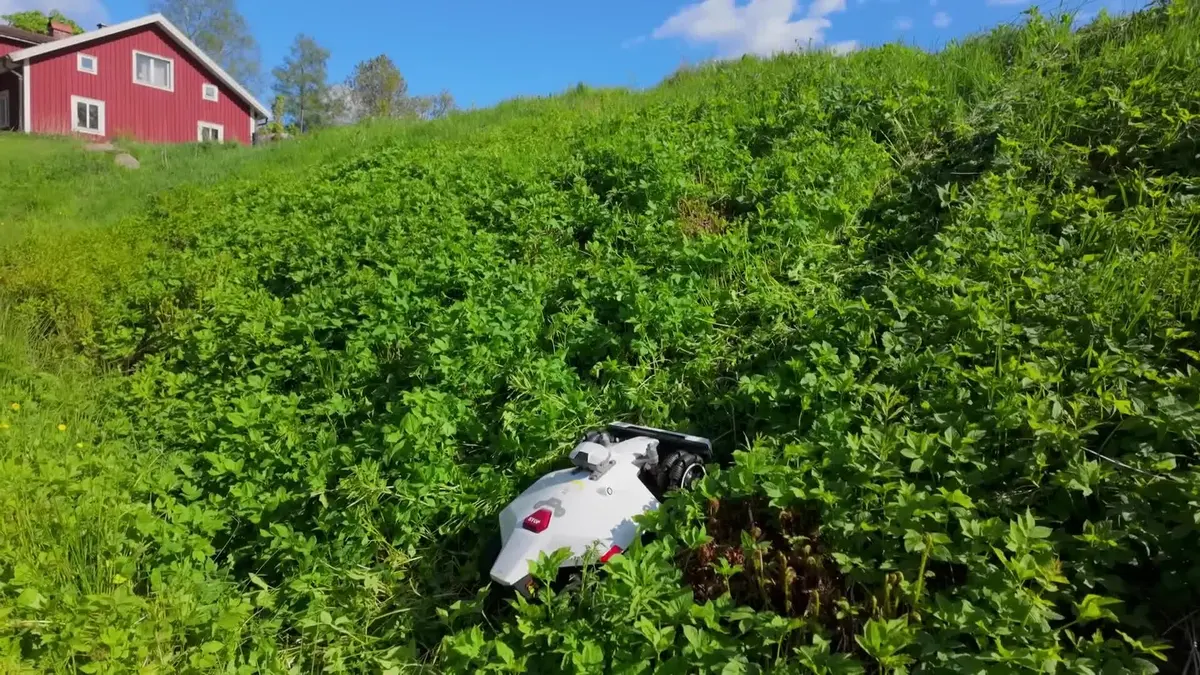 Robotska kosilica Mammotion LUBA 2 AWD 5000X, srodna izvedba, uz gusto rastinje